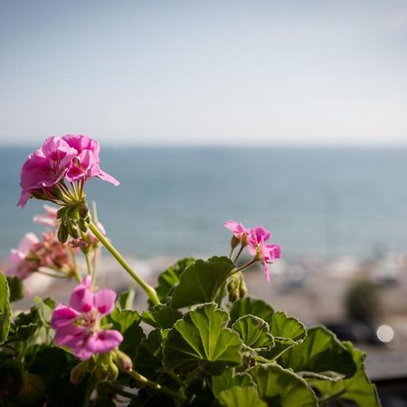 Bed and Breakfast Salsedine Sea View Salerno Zewnętrze zdjęcie